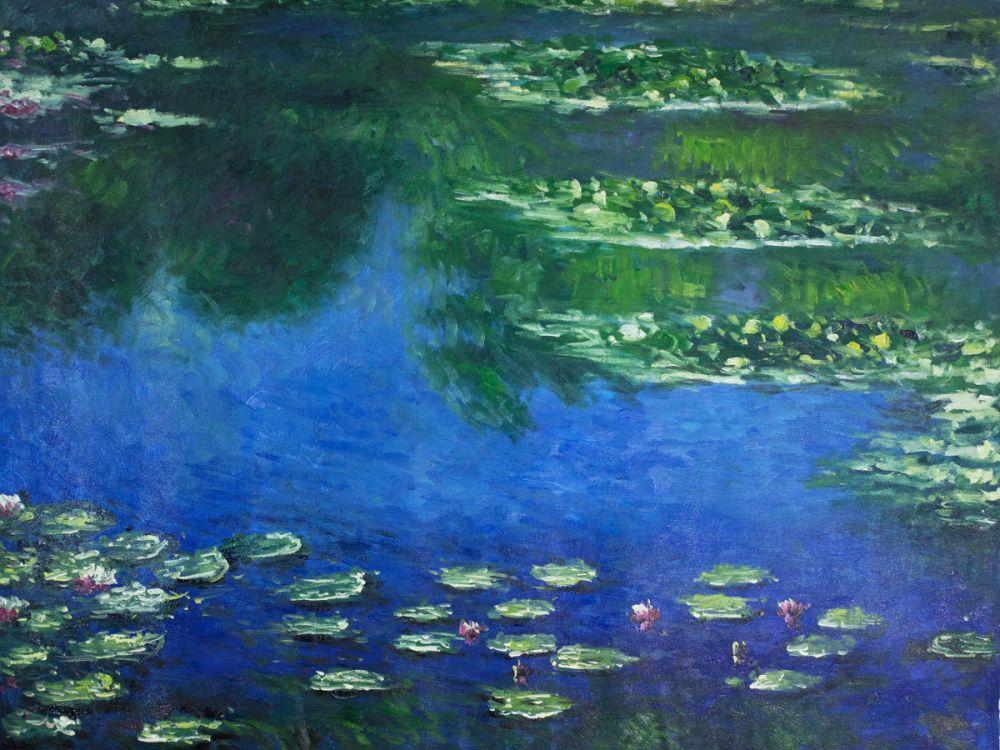 Water Lilies