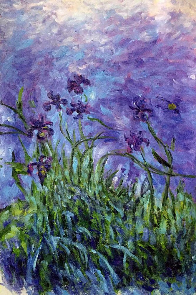 Lilac Irises