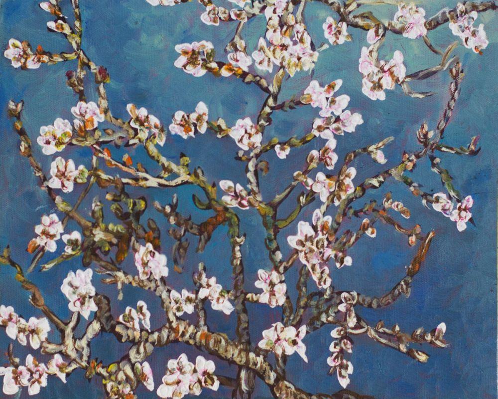 Branches Of An Almond Tree In Blossom