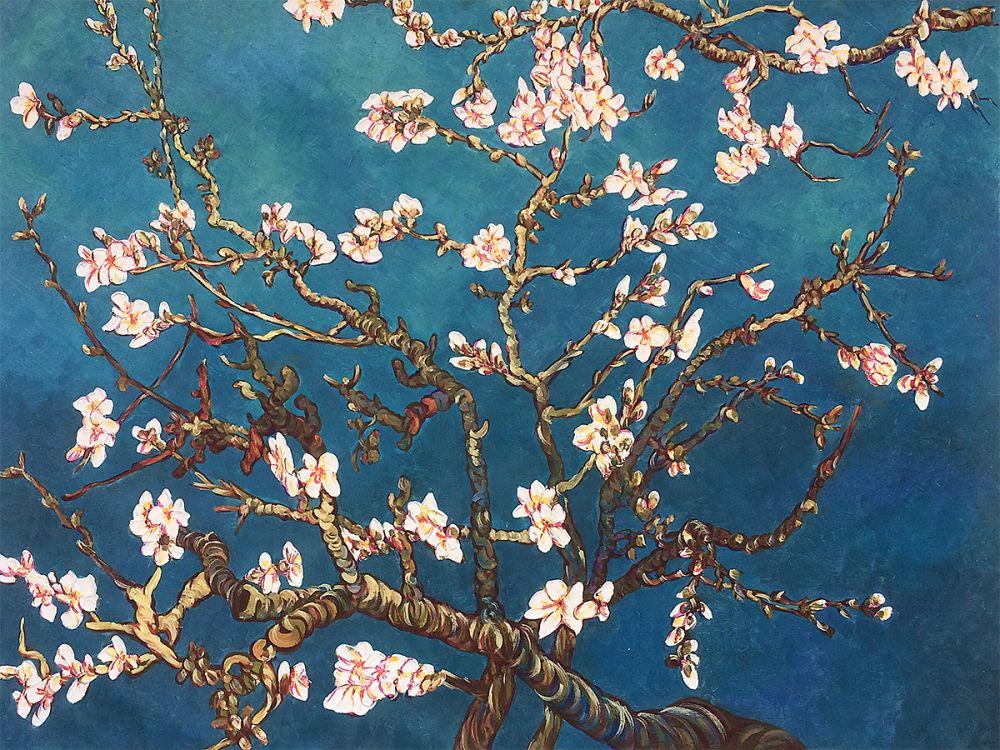 Branches Of An Almond Tree In Blossom