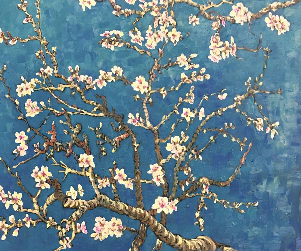 Branches Of An Almond Tree In Blossom